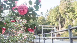 Instagram　更新しています！