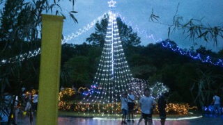 七夕星祭り　大成功！