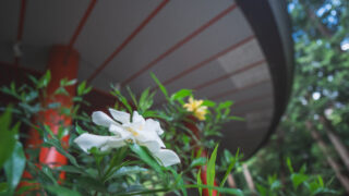 御神水所の清掃が完了しました！