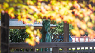 秋が深まってまいりました