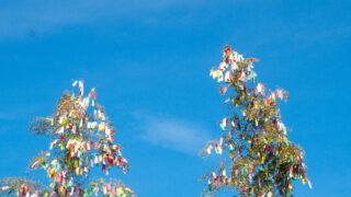 七夕星まつりの様子をお見せします