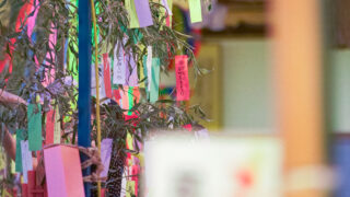 七夕星まつりは大盛況！