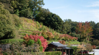 秋の深まりを感じます